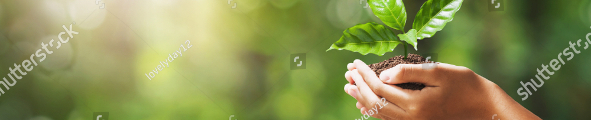 header template